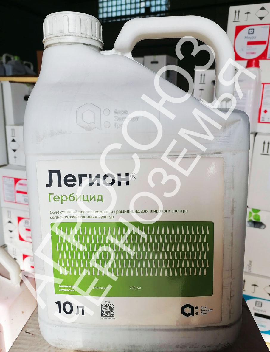 Легион, КЭ,10л