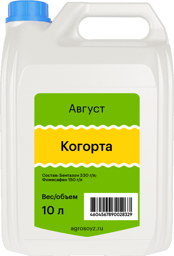 Когорта