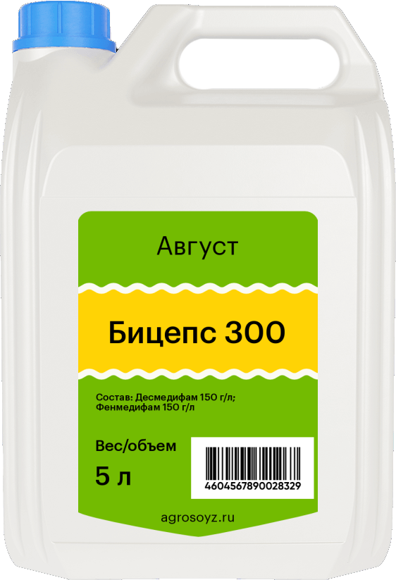 Бицепс 300